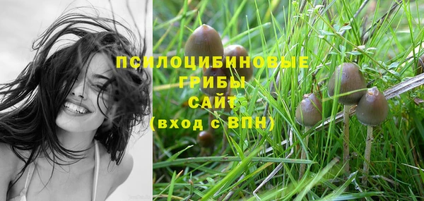 герыч Арсеньев