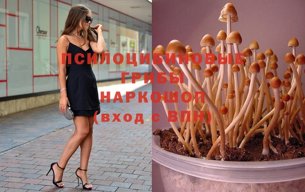 герыч Арсеньев